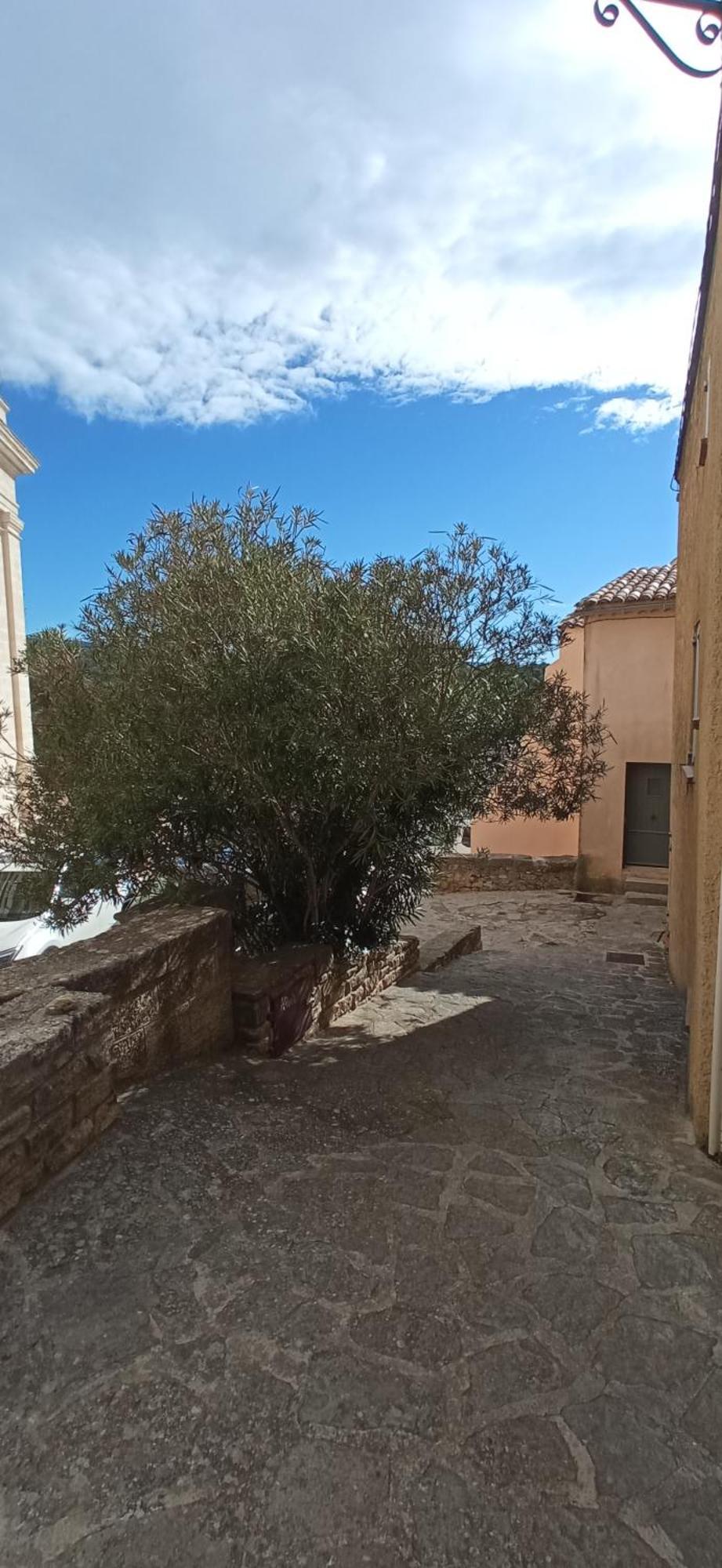 Studio Tout Confort En Provence Mont Ventoux. Бедуен Екстер'єр фото