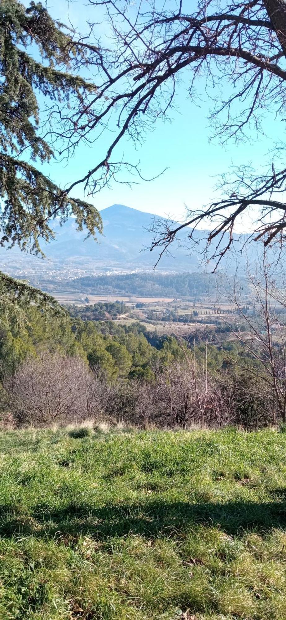 Studio Tout Confort En Provence Mont Ventoux. Бедуен Екстер'єр фото